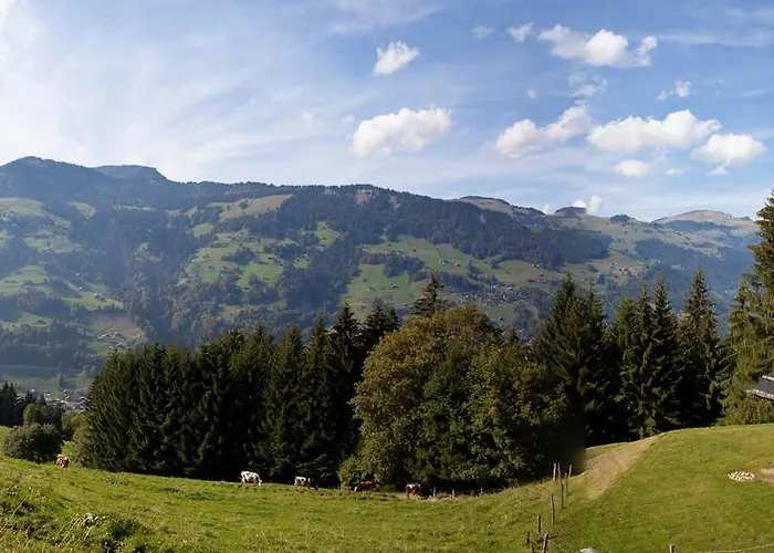 Шале Le De Lara *